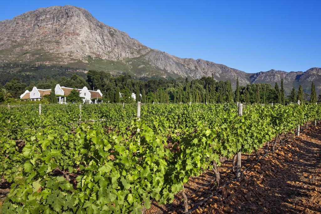 Hotel La Providence Franschhoek Zewnętrze zdjęcie